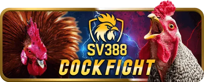 Cá cược thể thao 79win login